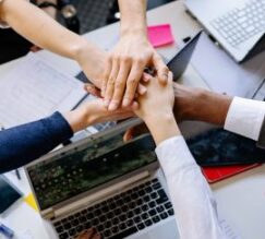 business lifecycle support